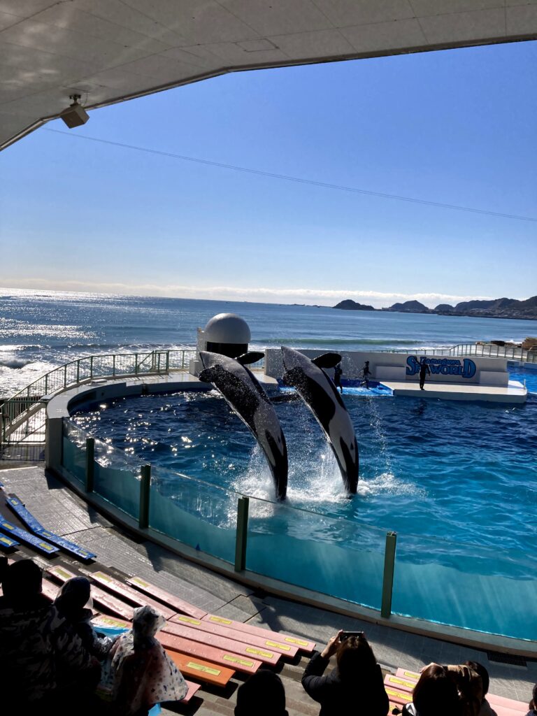 水族館 鴨川シーワールド 子連れラボ